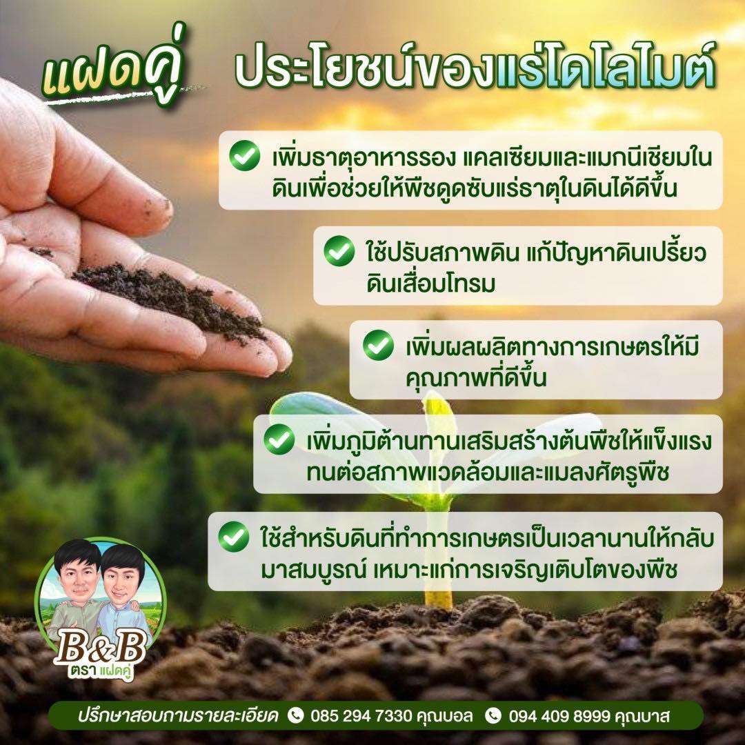 โดโลไมต์ ตัวช่วยลดกรดในดินและน้ำอย่างเร่งด่วน