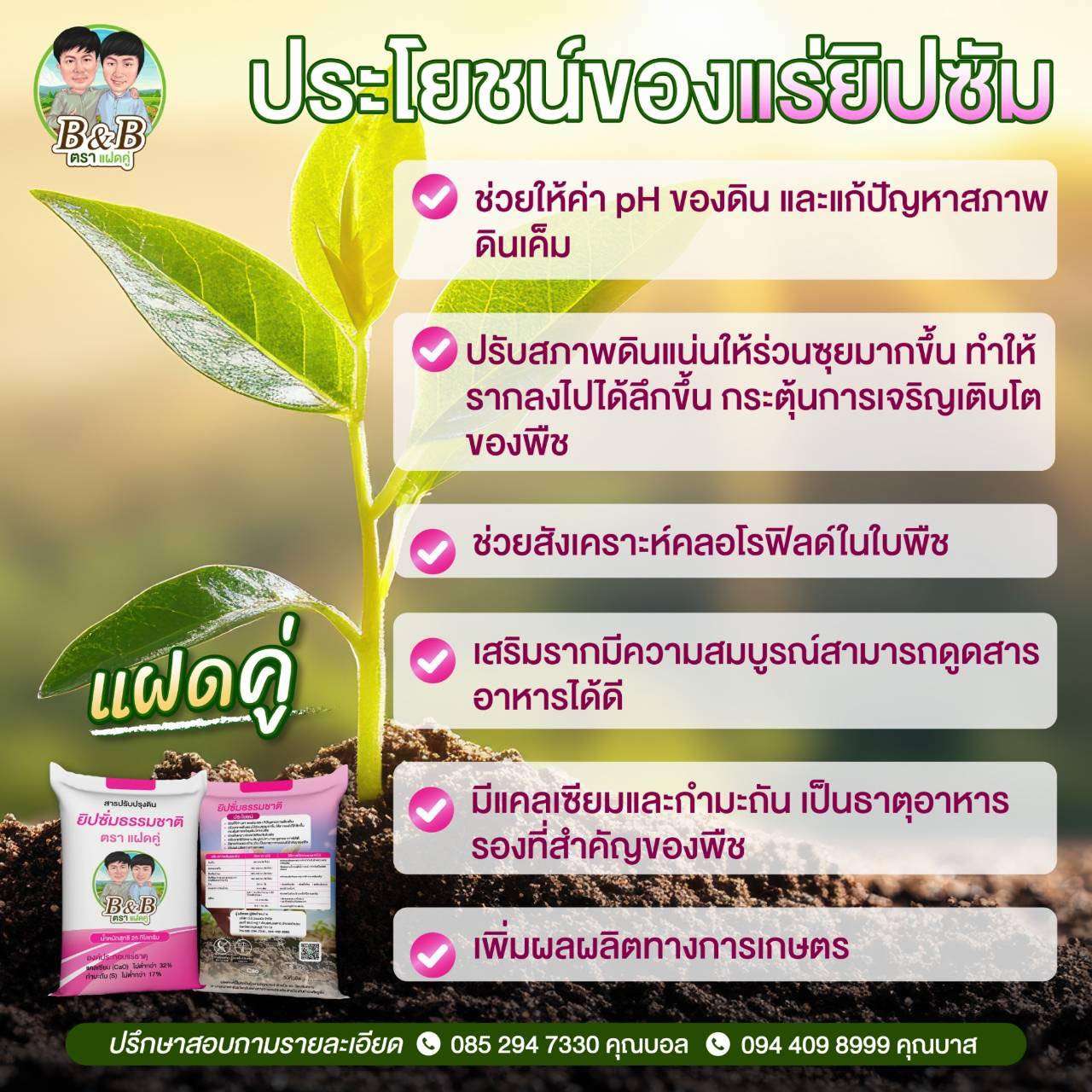 ดินขาว (Kaolin) ตราแฝดคู่