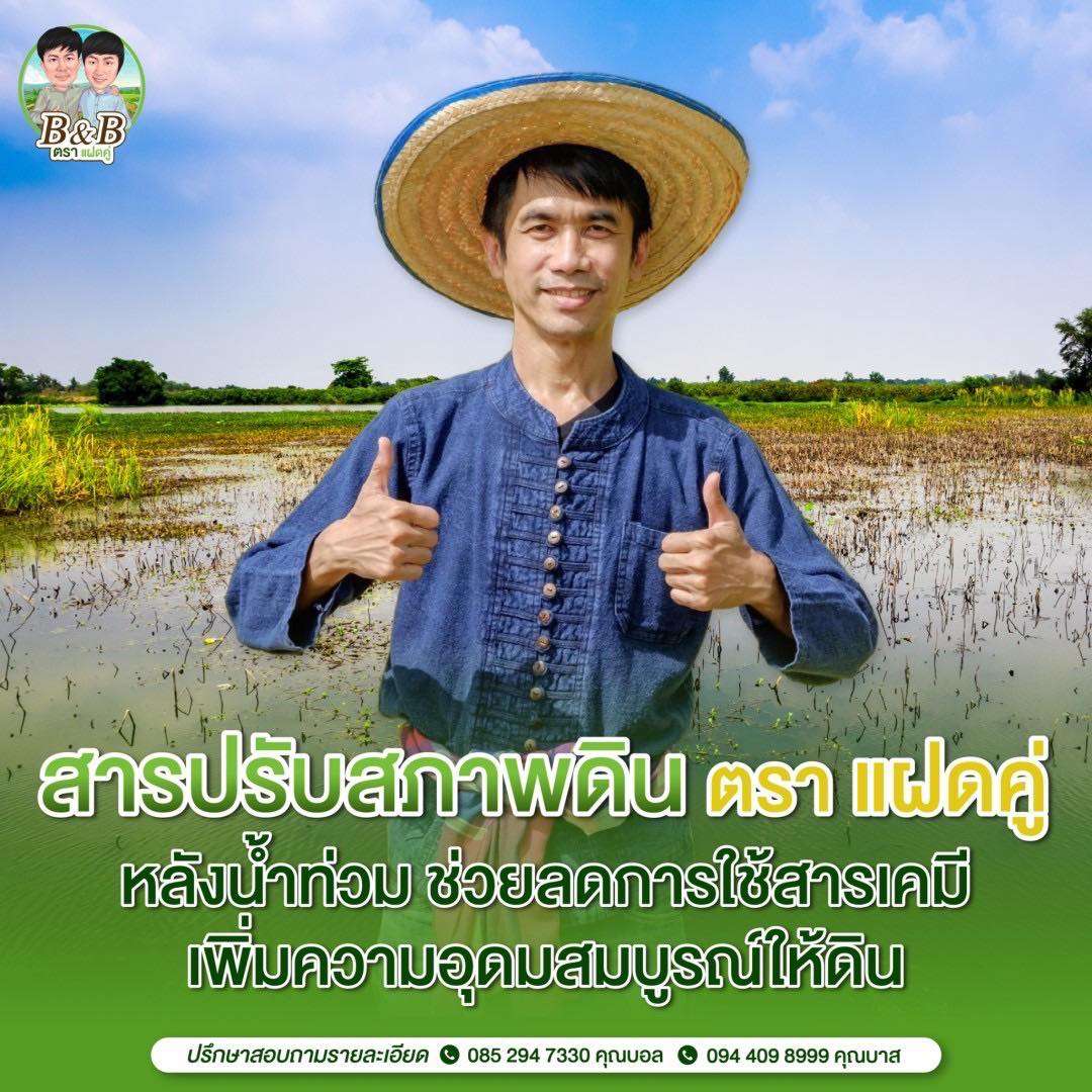 ประโยชน์ของธาตุอาหารรอง แคลเซียม-แมกนีเซียม