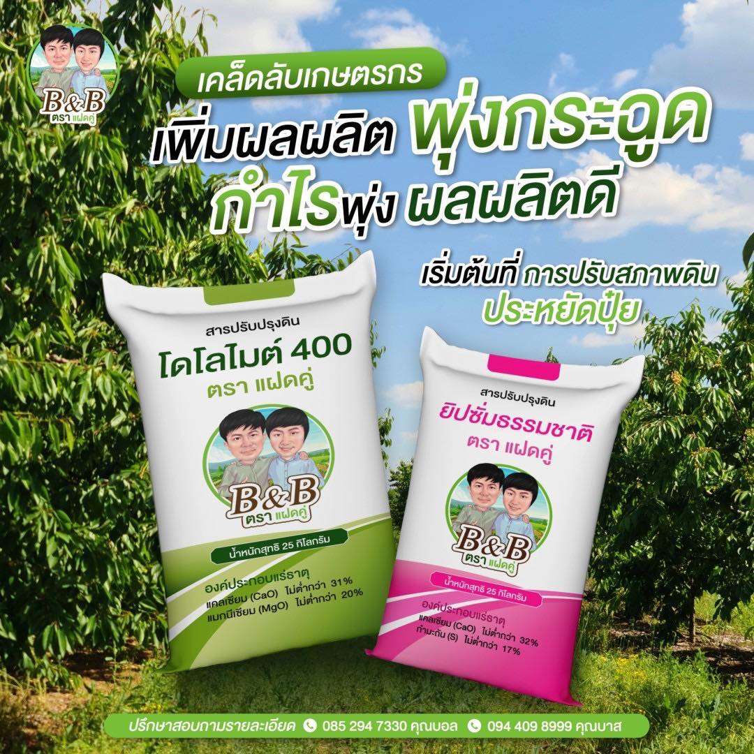เทคนิคการเตรียมดินก่อนปลูก เพื่อผลผลิตที่ยั่งยืน