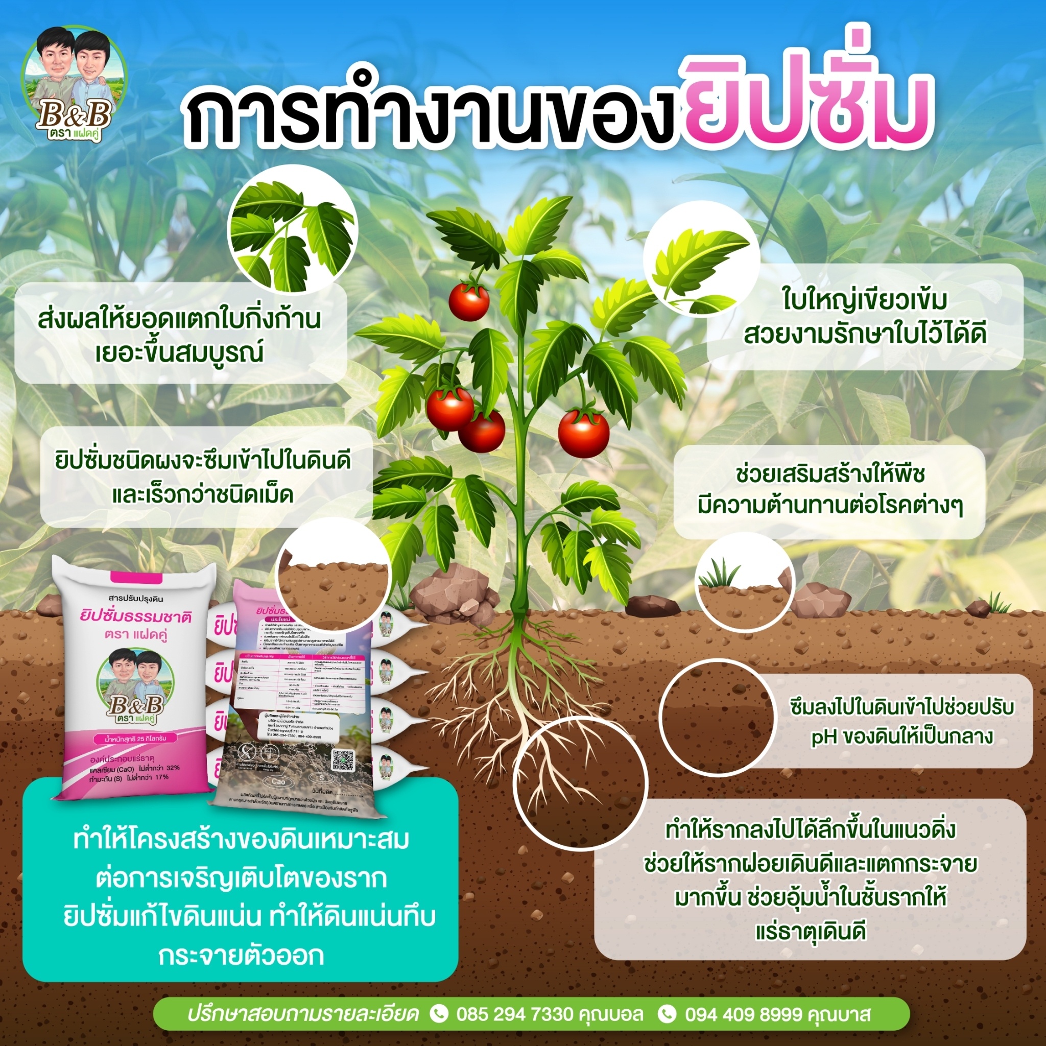 ยิปซั่มเพื่อการเกษตร (Gypsum) ตราแฝดคู่