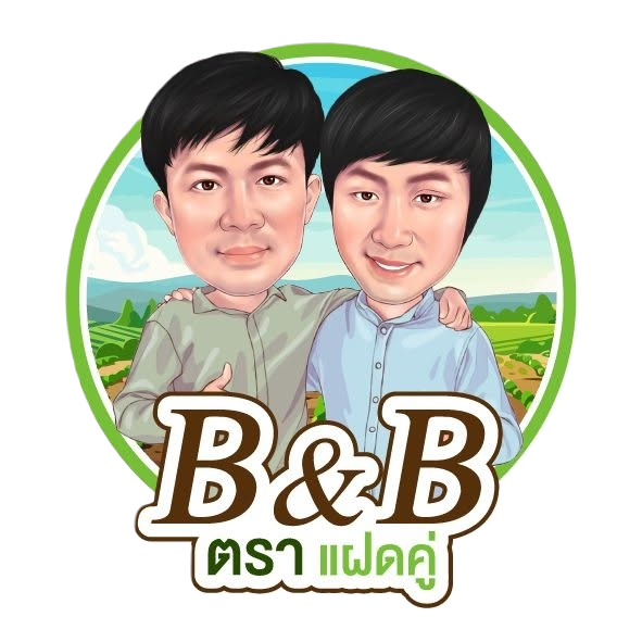 Logo BB-Mineral ตราแฝดคู่