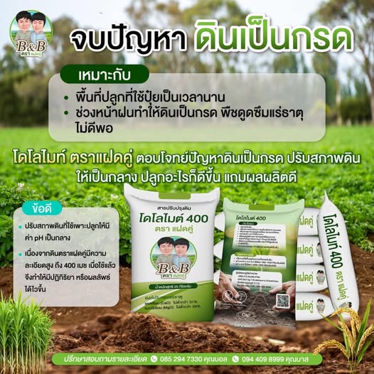 โดโลไมต์ ตัวช่วยลดกรดในดินและน้ำอย่างเร่งด่วน